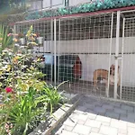 Apartment Barney With Garden&Terrace