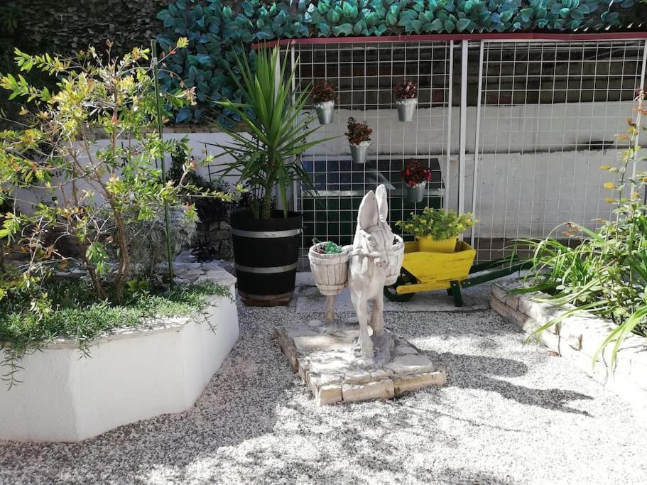 Barney With Garden&terrace * Split