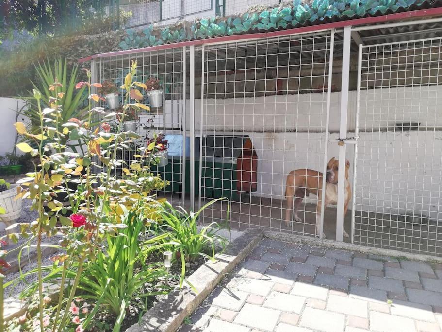 Apartman Barney With Garden&terrace Split