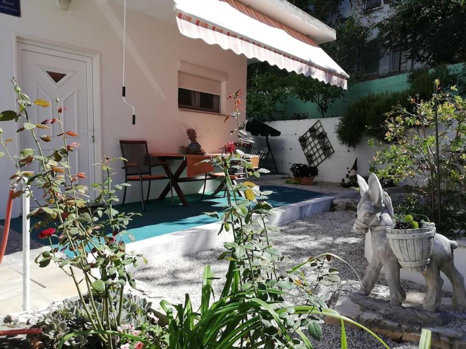Apartman Barney With Garden&terrace
