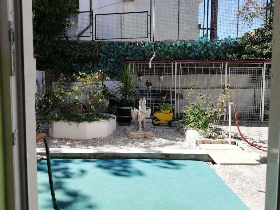 Barney With Garden&terrace Split