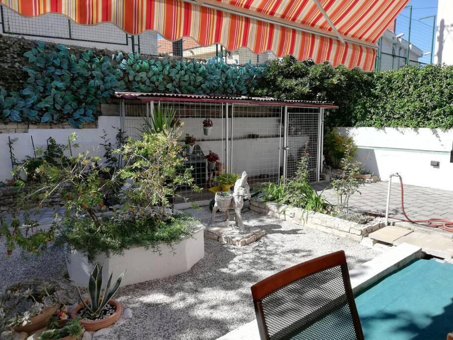 Barney With Garden&terrace Split
